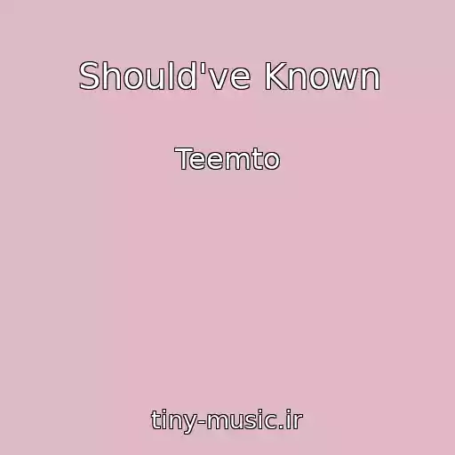 کاور آهنگ Should've Known از Teemto
