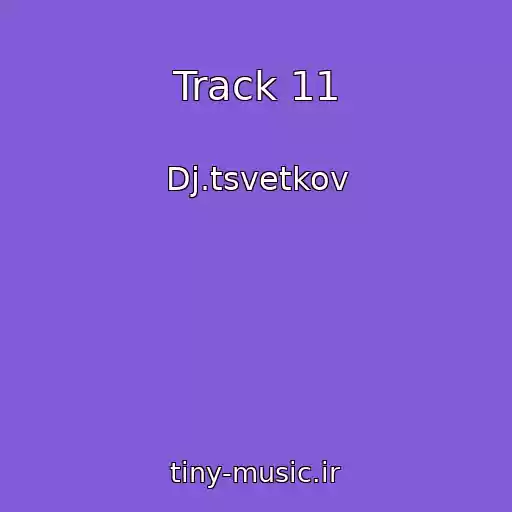 کاور آهنگ Track 11 از Dj.tsvetkov
