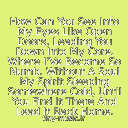 کاور آهنگ How Can You See Into My Eyes Like Open Doors, Leading You Down Into My Core. Where I’Ve Become So Numb. Without A Soul My Spirit Sleeping Somewhere Cold, Until You Find It There And Lead It Back Home. از Evanescence - Bring Me To Life