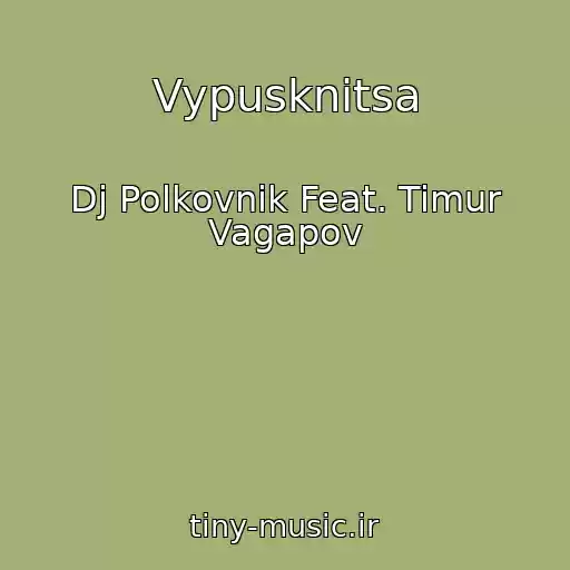 کاور آهنگ Vypusknitsa از Dj Polkovnik Feat. Timur Vagapov
