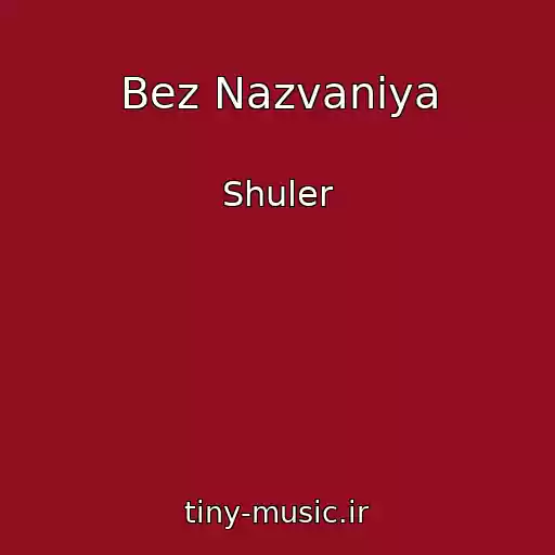 کاور آهنگ Bez Nazvaniya از Shuler
