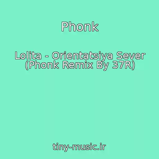 کاور آهنگ Phonk از Lolita - Orientatsiya Sever (Phonk Remix By 37R)