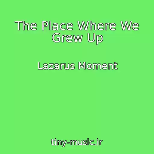 کاور آهنگ The Place Where We Grew Up از Lazarus Moment