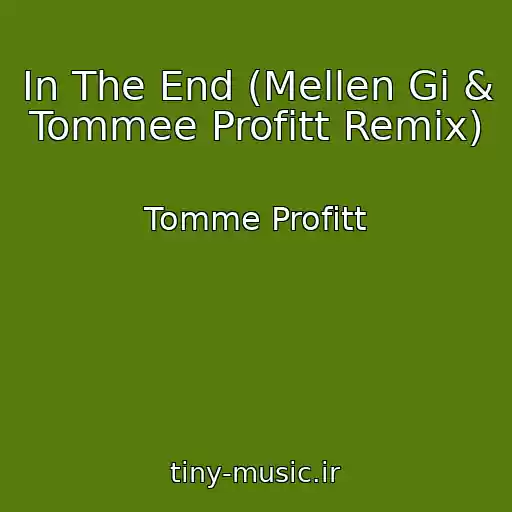 کاور آهنگ In The End (Mellen Gi & Tommee Profitt Remix) از Tomme Profitt