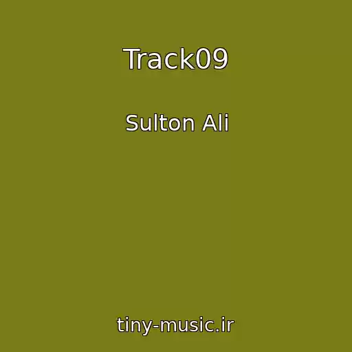 کاور آهنگ Track09 از Sulton Ali