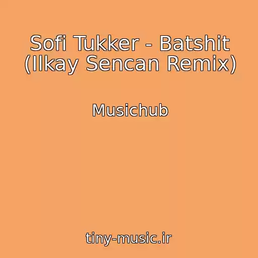 کاور آهنگ Sofi Tukker - Batshit (Ilkay Sencan Remix) از Musichub