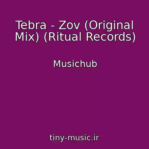 کاور آهنگ Tebra - Zov (Original Mix) (Ritual Records) از Musichub