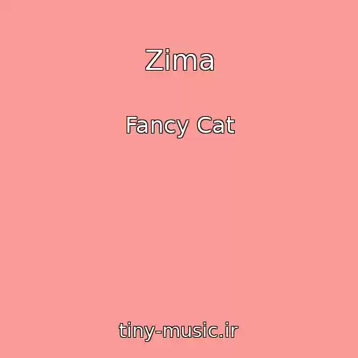 کاور آهنگ Zima از Fancy Cat