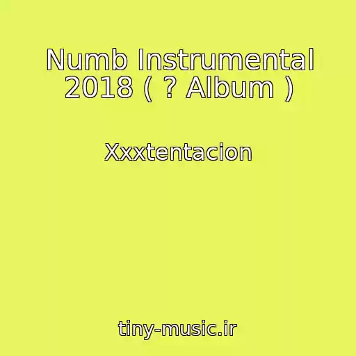 کاور آهنگ Numb Instrumental 2018 ( ? Album ) از Xxxtentacion