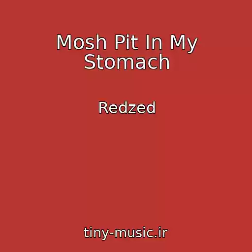 کاور آهنگ Mosh Pit In My Stomach از Redzed