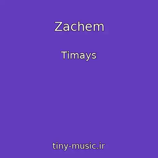 کاور آهنگ Zachem از Timays