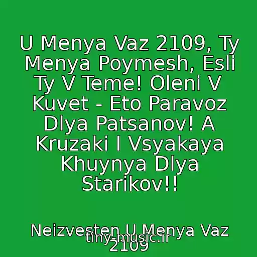 کاور آهنگ U Menya Vaz 2109, Ty Menya Poymesh, Esli Ty V Teme! Oleni V Kuvet - Eto Paravoz Dlya Patsanov! A Kruzaki I Vsyakaya Khuynya Dlya Starikov!! از Neizvesten U Menya Vaz 2109