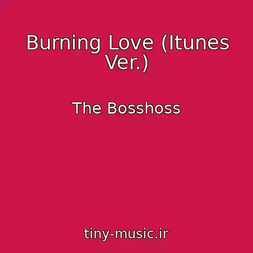 کاور آهنگ Burning Love (Itunes Ver.) از The Bosshoss