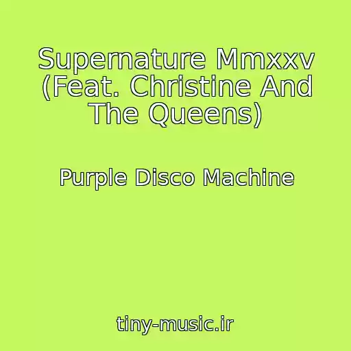 کاور آهنگ Supernature Mmxxv (Feat. Christine And The Queens) از Purple Disco Machine