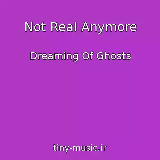 کاور آهنگ Not Real Anymore از Dreaming Of Ghosts