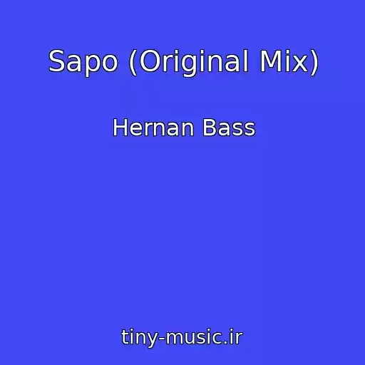 کاور آهنگ Sapo (Original Mix) از Hernan Bass