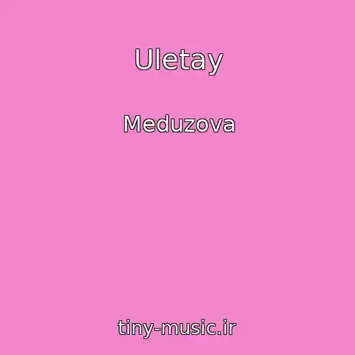 کاور آهنگ Uletay از Meduzova