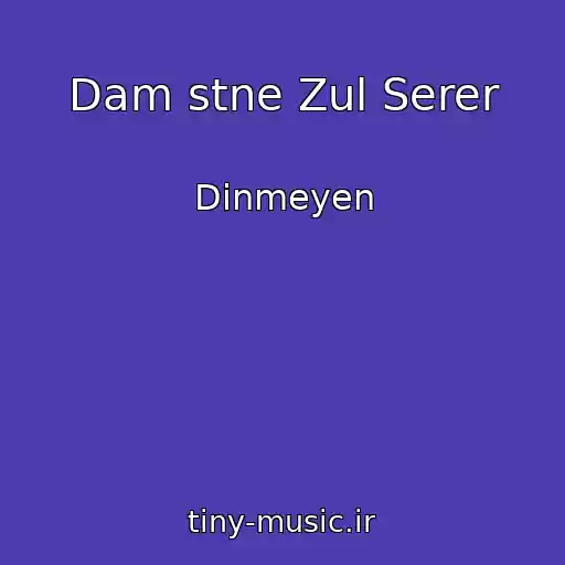 کاور آهنگ Dam stne Zul Serer از Dinmeyen