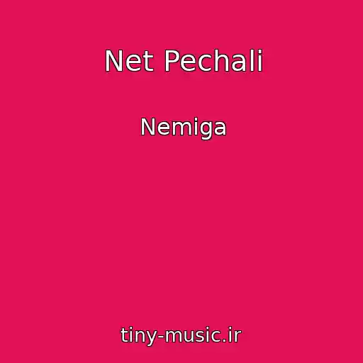 کاور آهنگ Net Pechali از Nemiga