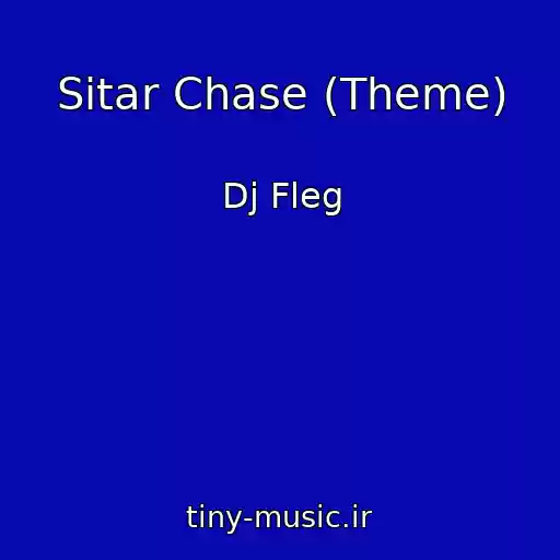 کاور آهنگ Sitar Chase (Theme) از Dj Fleg