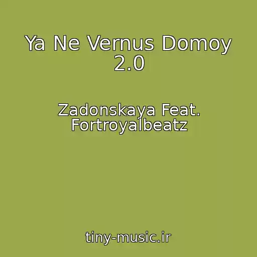 کاور آهنگ Ya Ne Vernus Domoy 2.0 از Zadonskaya Feat. Fortroyalbeatz