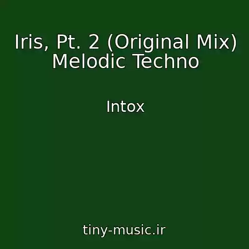 کاور آهنگ Iris, Pt. 2 (Original Mix) Melodic Techno از Intox