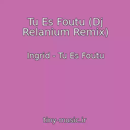 کاور آهنگ Tu Es Foutu (Dj Relanium Remix) از Ingrid - Tu Es Foutu