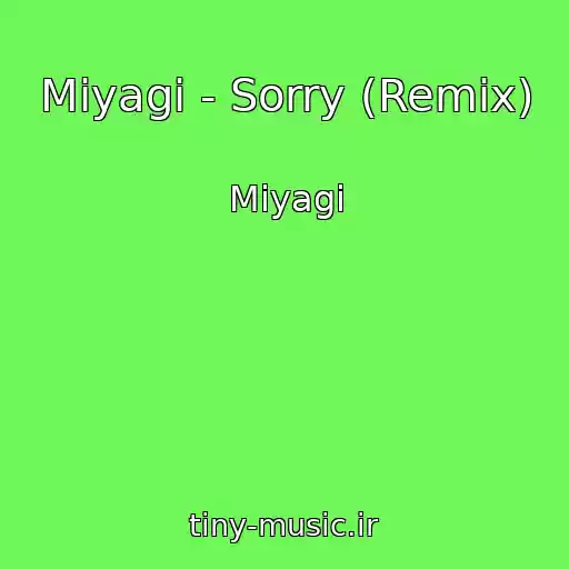 کاور آهنگ Miyagi - Sorry (Remix) از Miyagi