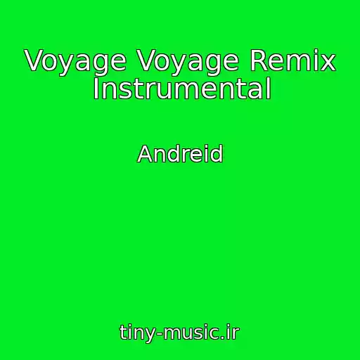 کاور آهنگ Voyage Voyage Remix Instrumental از Andreid