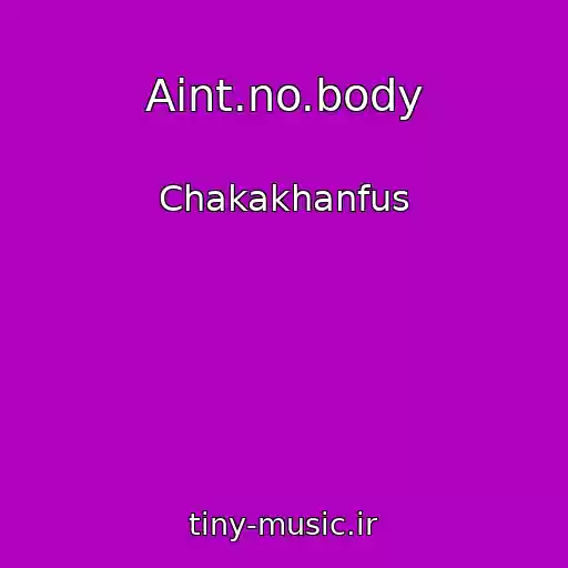 کاور آهنگ Aint.no.body از Chakakhanfus
