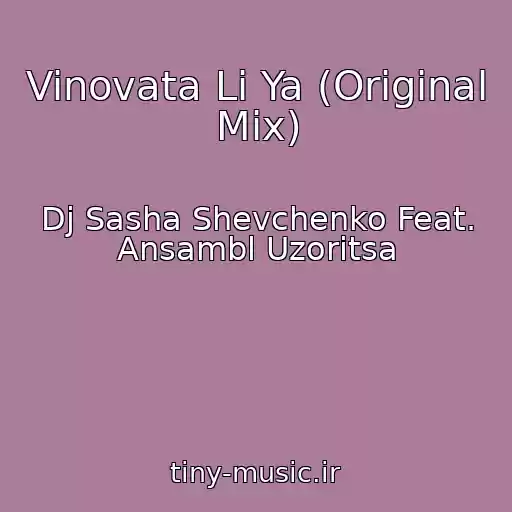 کاور آهنگ Vinovata Li Ya (Original Mix) از Dj Sasha Shevchenko Feat. Ansambl Uzoritsa