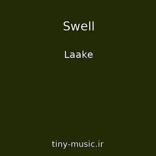 کاور آهنگ Swell از Laake
