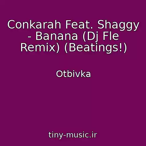 کاور آهنگ Conkarah Feat. Shaggy - Banana (Dj Fle Remix) (Beatings!) از Otbivka