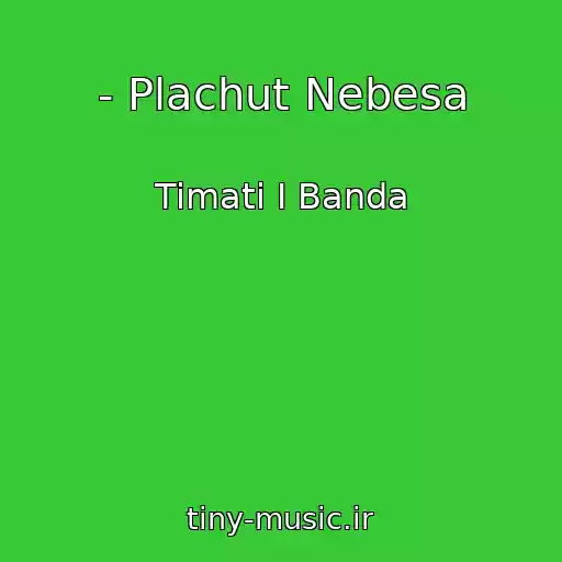 کاور آهنگ - Plachut Nebesa از Timati I Banda