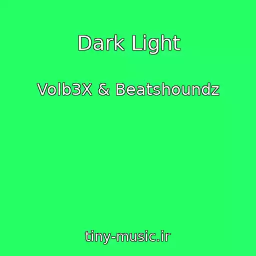 کاور آهنگ Dark Light از Volb3X & Beatshoundz