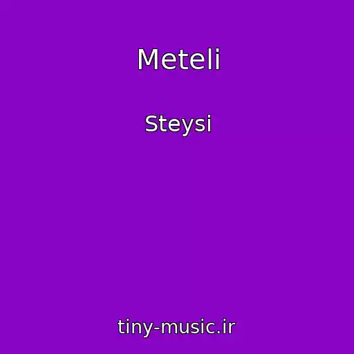 کاور آهنگ Meteli از Steysi