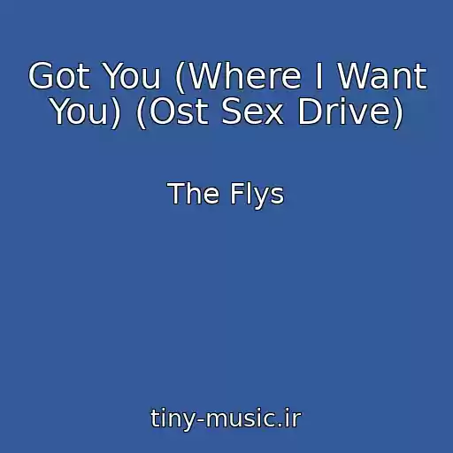 کاور آهنگ Got You (Where I Want You) (Ost Sex Drive) از The Flys