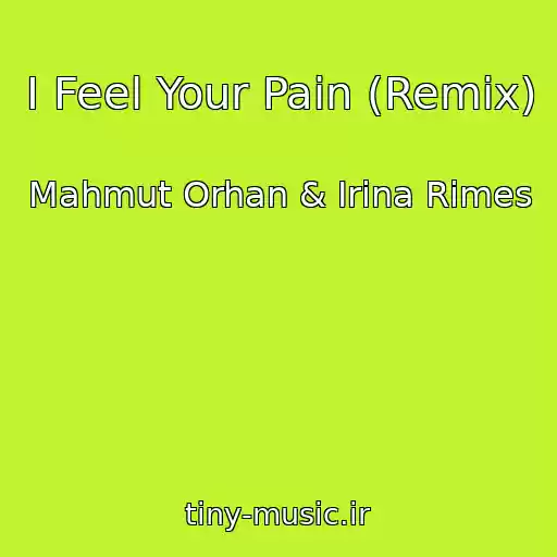 کاور آهنگ I Feel Your Pain (Remix) از Mahmut Orhan & Irina Rimes