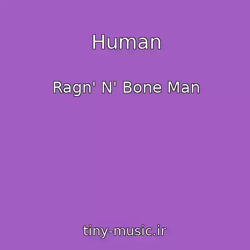 کاور آهنگ Human از Ragn' N' Bone Man