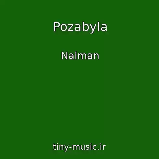 کاور آهنگ Pozabyla از Naiman