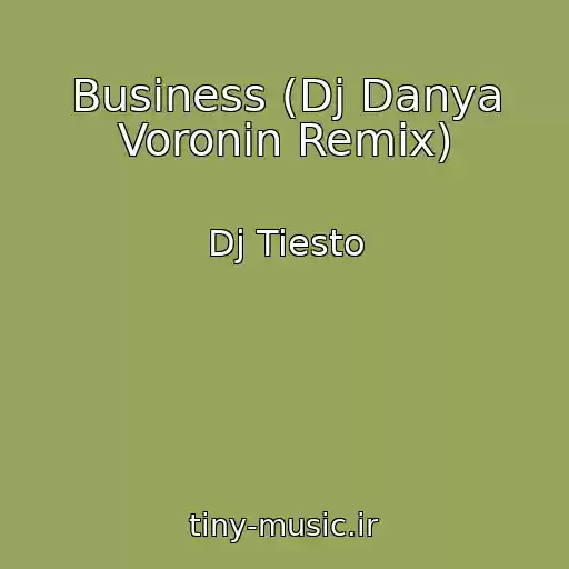 کاور آهنگ Business (Dj Danya Voronin Remix) از Dj Tiesto