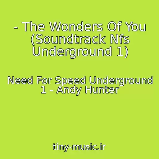 کاور آهنگ - The Wonders Of You (Soundtrack Nfs Underground 1) از Need For Speed Underground 1 - Andy Hunter