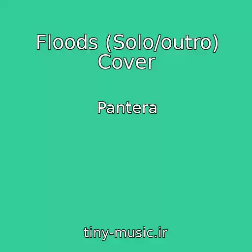 کاور آهنگ Floods (Solo/outro) Cover از Pantera
