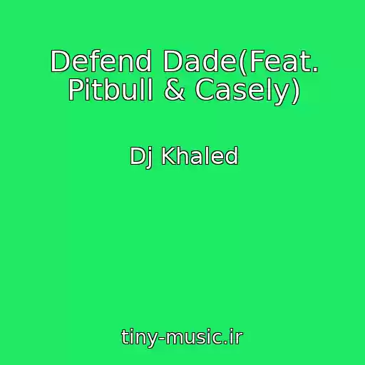 کاور آهنگ Defend Dade(Feat. Pitbull & Casely) از Dj Khaled