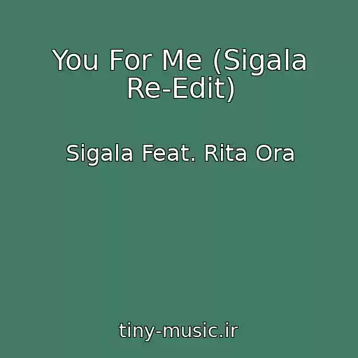 کاور آهنگ You For Me (Sigala Re-Edit) از Sigala Feat. Rita Ora
