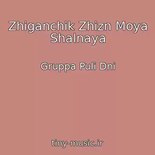 کاور آهنگ Zhiganchik Zhizn Moya Shalnaya از Gruppa Puli Dni