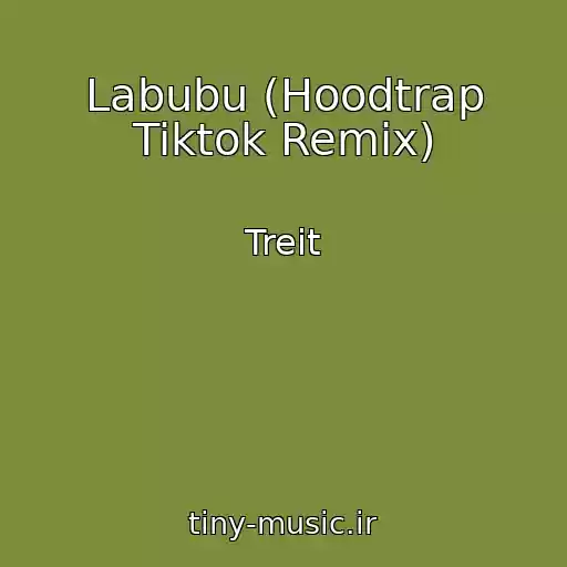 کاور آهنگ Labubu (Hoodtrap Tiktok Remix) از Treit