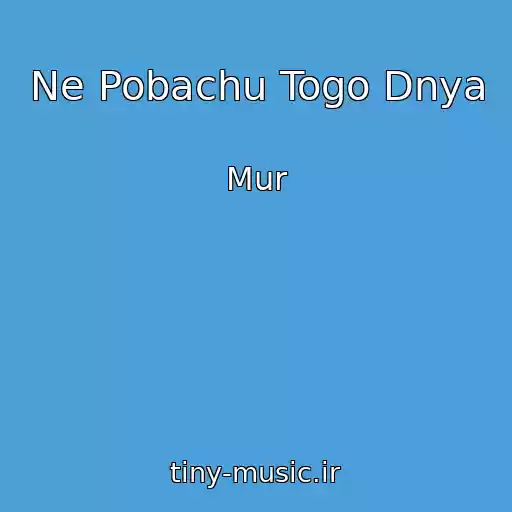 کاور آهنگ Ne Pobachu Togo Dnya از Mur