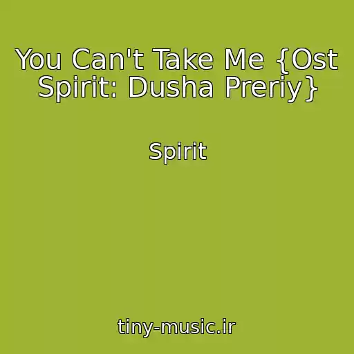 کاور آهنگ You Can't Take Me {Ost Spirit: Dusha Preriy} از Spirit