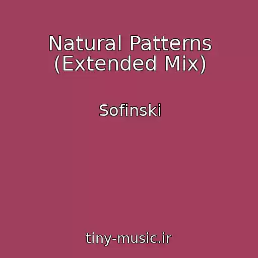 کاور آهنگ Natural Patterns (Extended Mix) از Sofinski